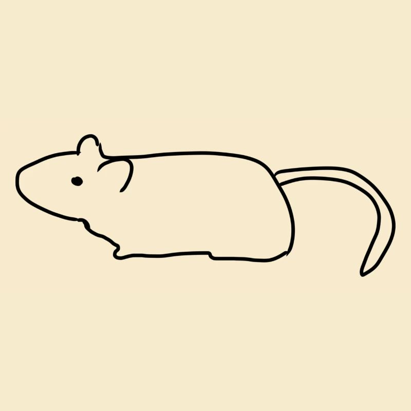 Maus Ratte Symbol Tier