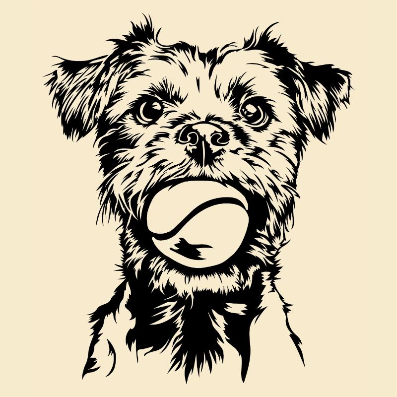 Border Terrier Hunde Hund Wilsigns