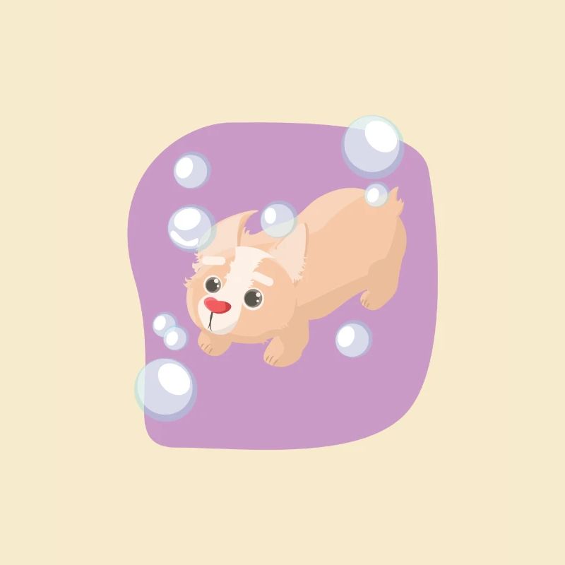 Soap bubbles dog