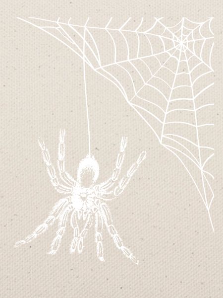 Spinnenweb Silhouette Netzkunst
