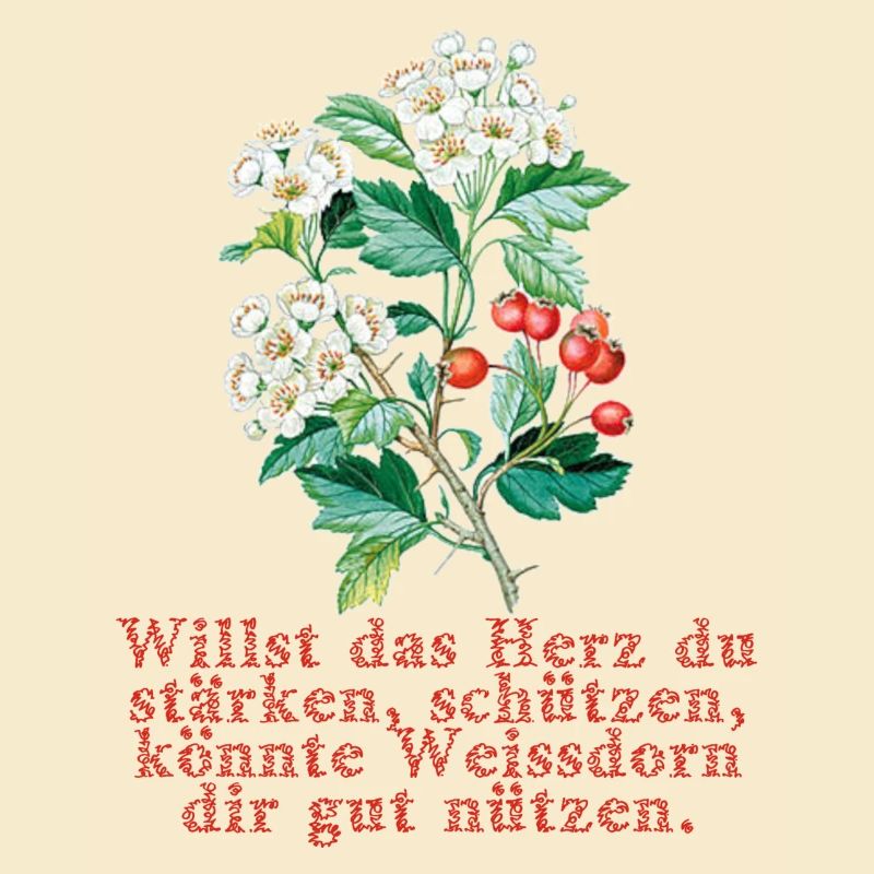 whitethorn