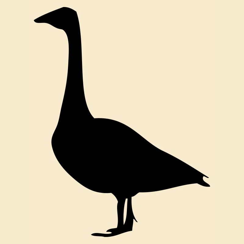 Gans