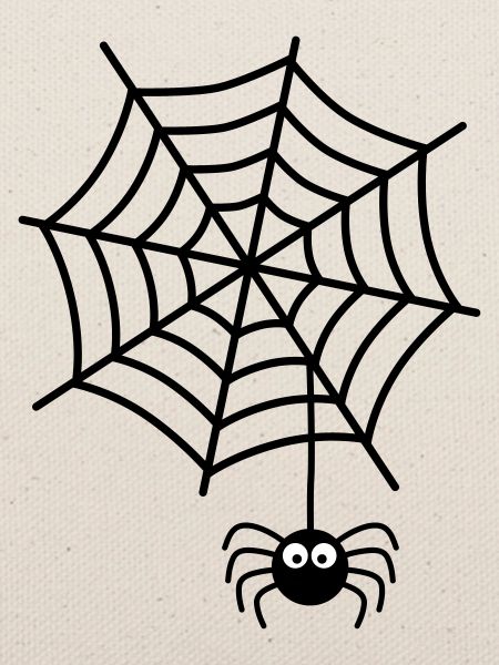 Spinnennetz Spinne