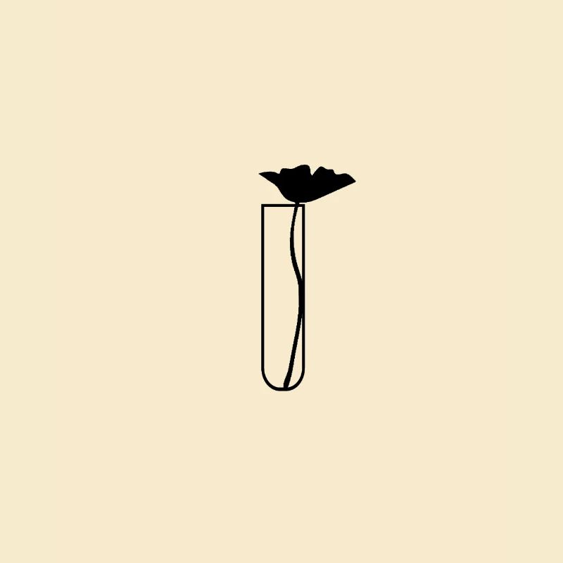 Mohnblume