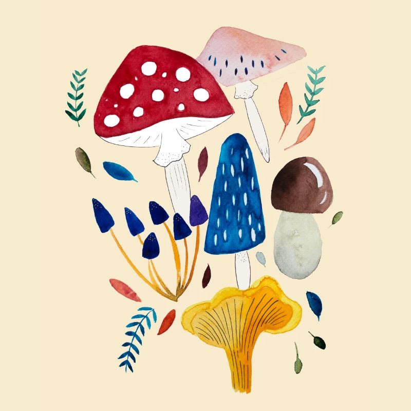 Mushroom design toadstool boletus chanterelle
