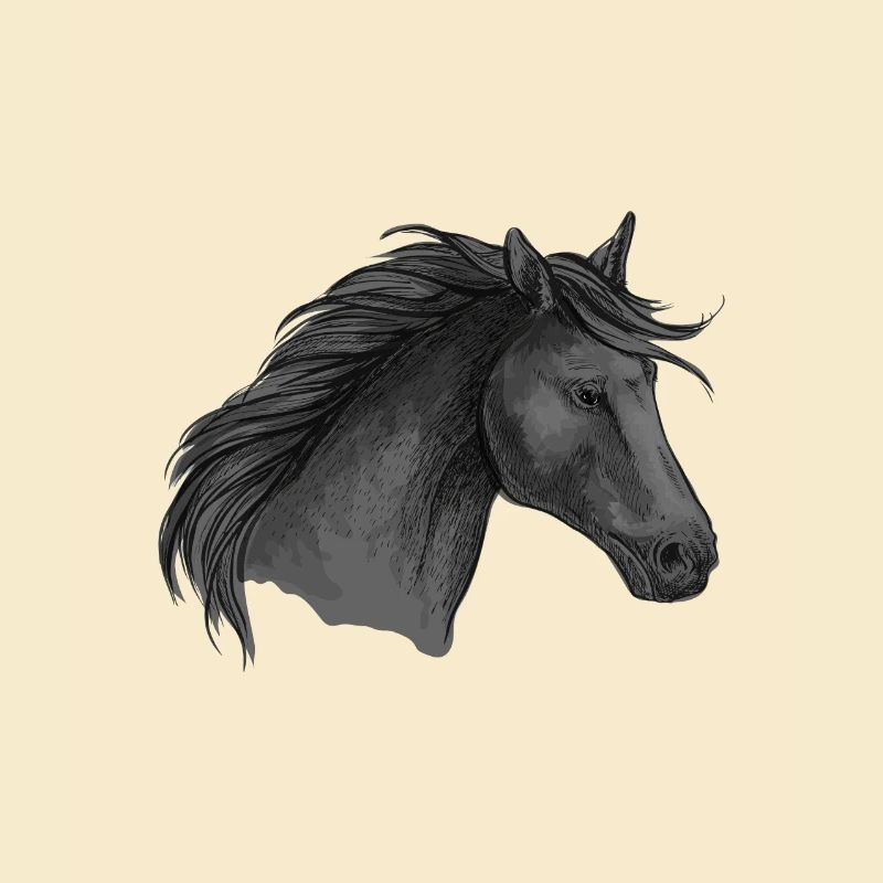 Pferd