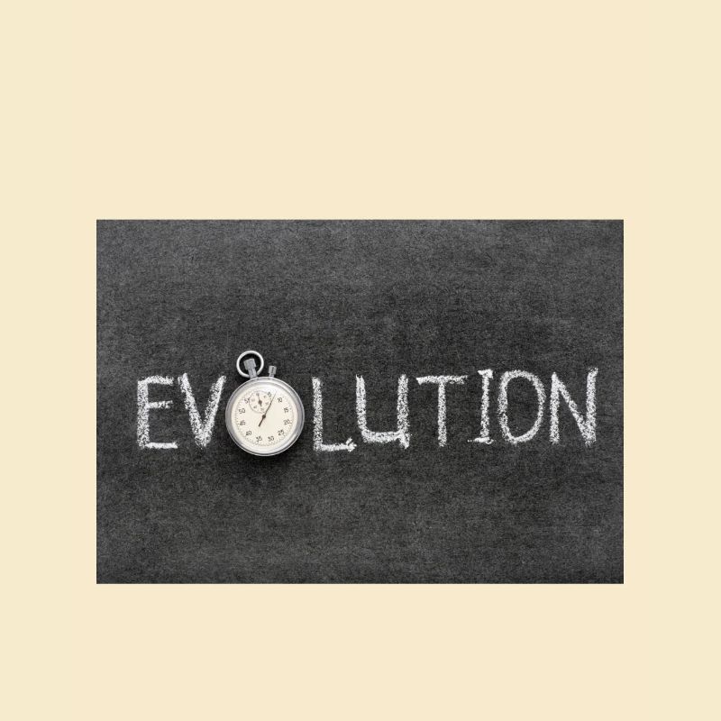 Evolution