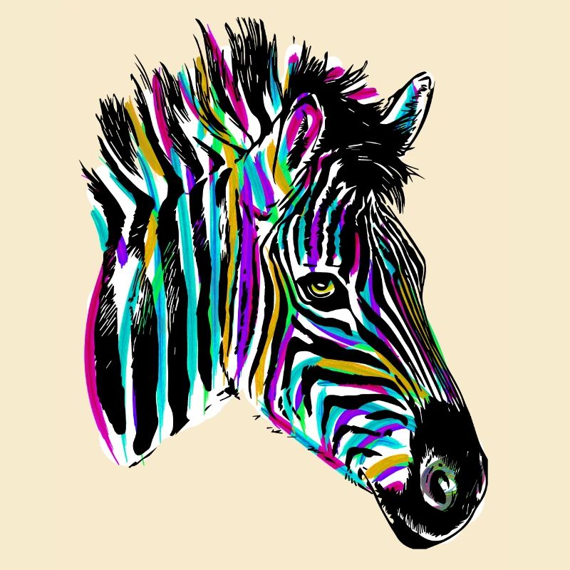 Buntes Zebra - Farbiges Zebra