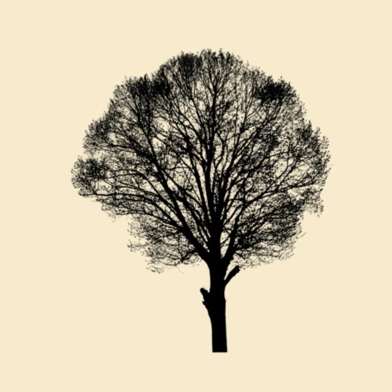 Arbre