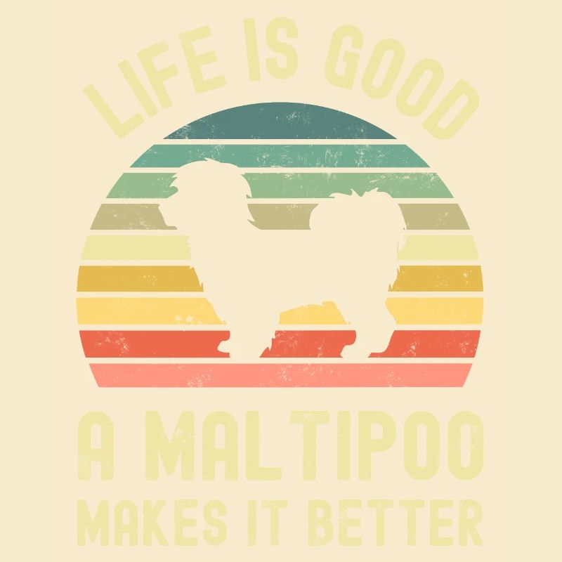 Chien Maltipoo