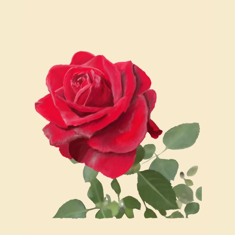 Rote Rose