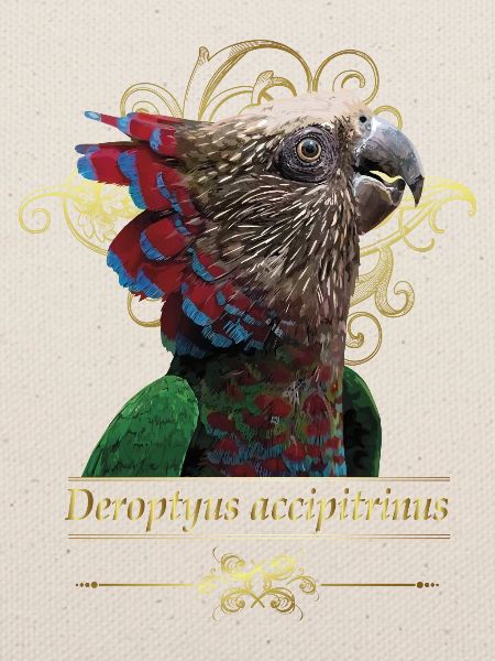 Der Cacique-Papagei