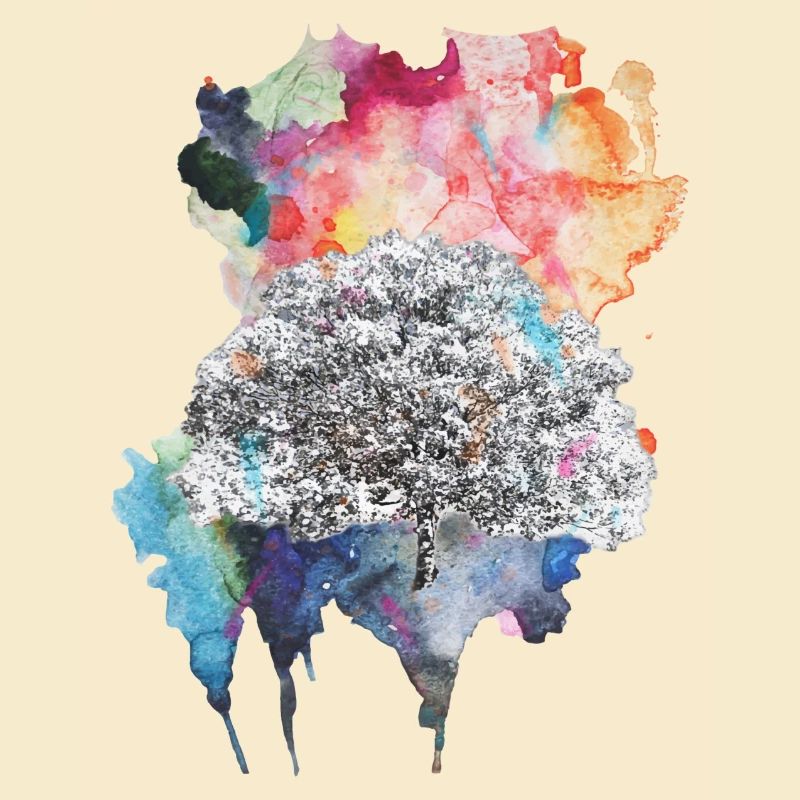 Explosion de couleur