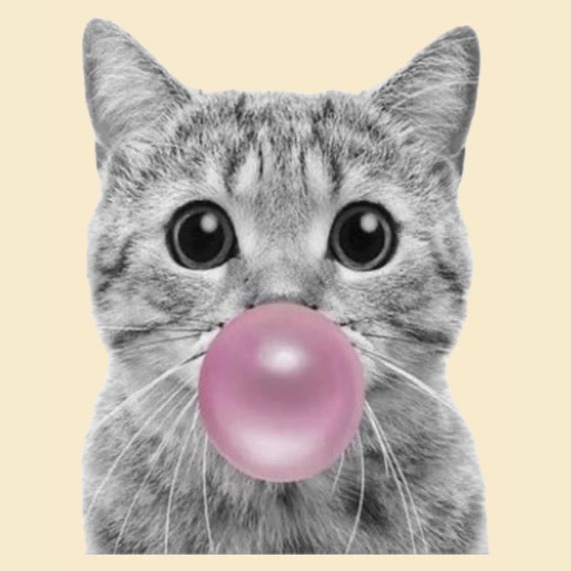 Bubble Cat