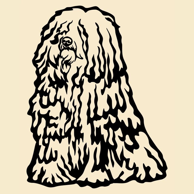 Puli
