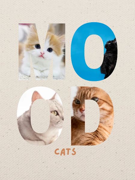 Mood Cats