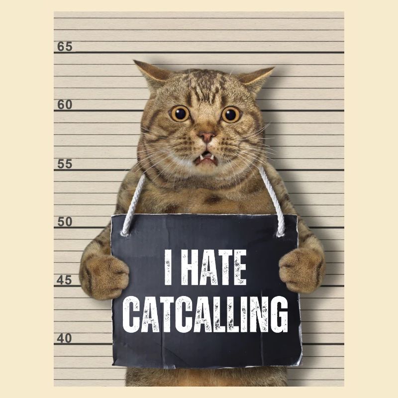 I Hate Catcalling