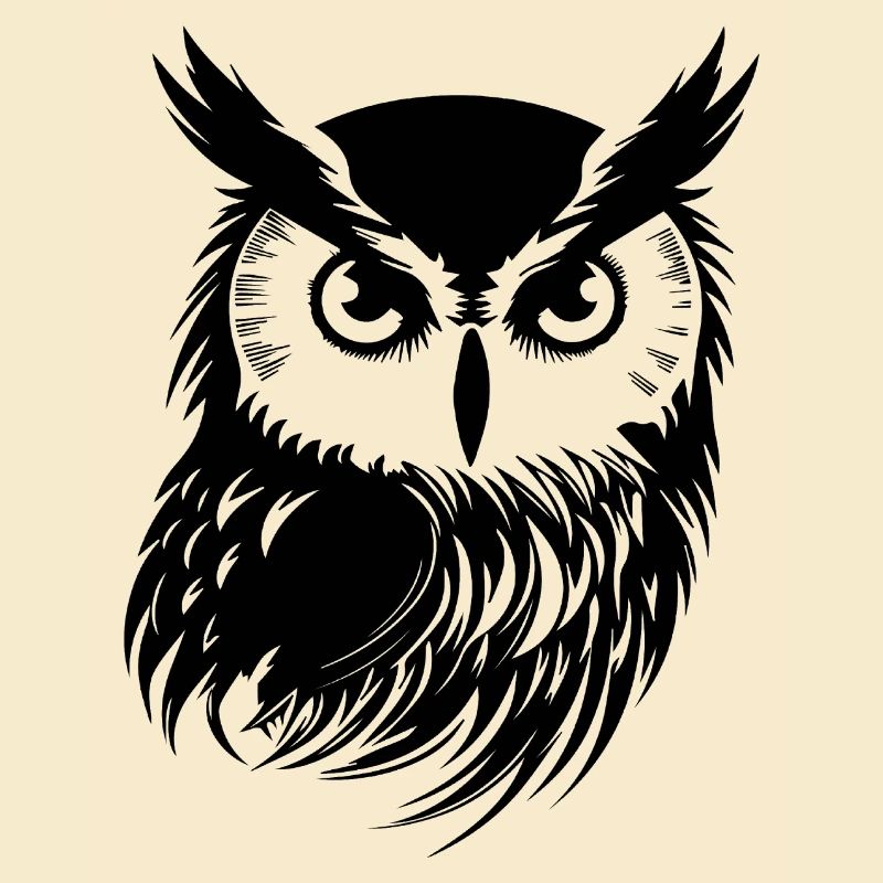 Eule Eulen Vogel Vögel