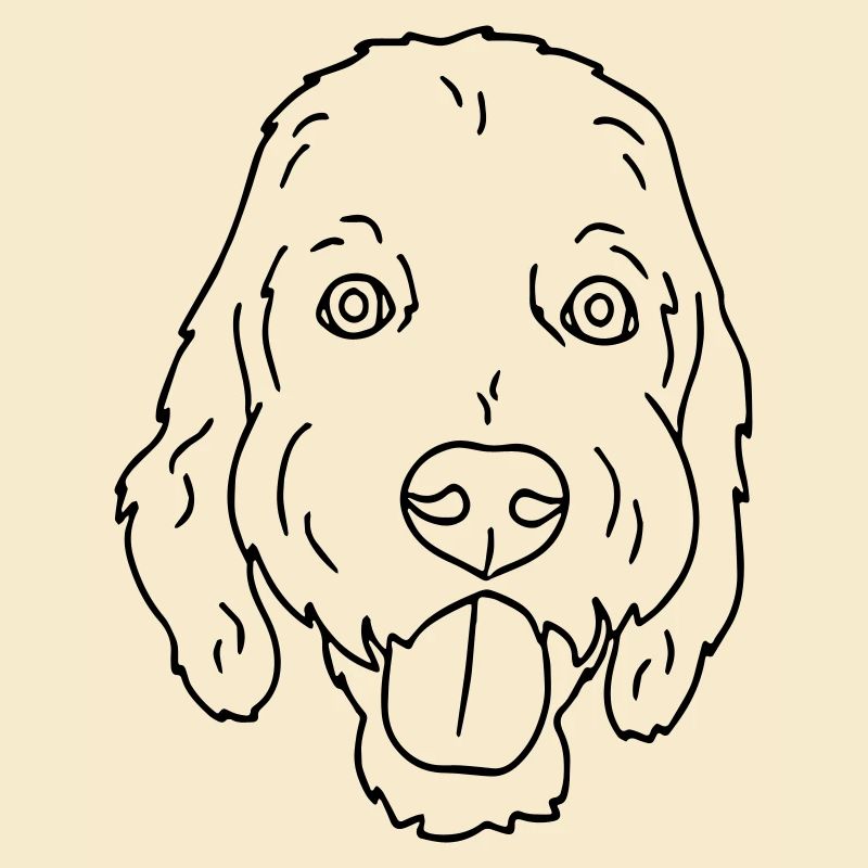 Hund