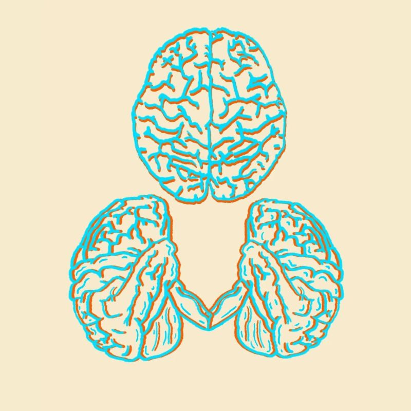 Brain