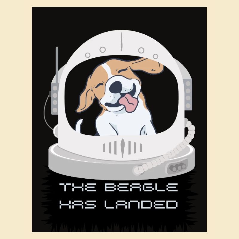 Der Beagle ist gelandet