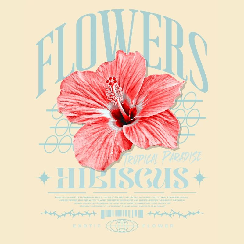 Fleur d’hibiscus Fleur d’hibiscus