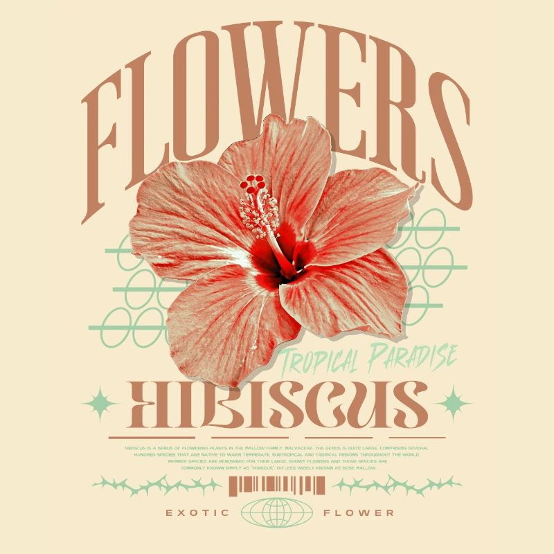 Fleur d’hibiscus Fleur d’hibiscus