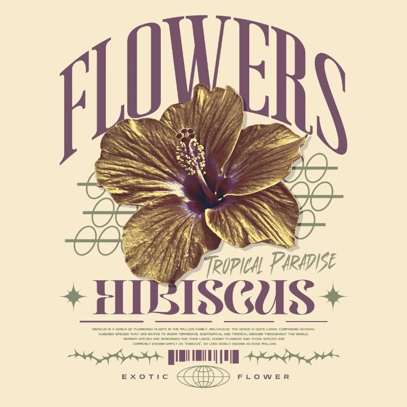 Fleur d’hibiscus Fleur d’hibiscus