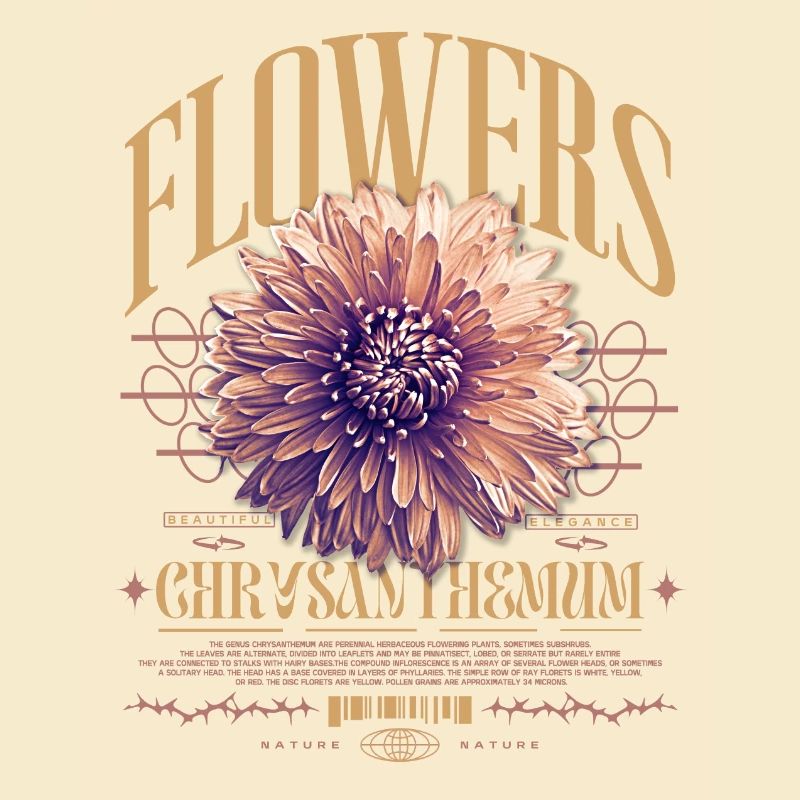 Chrysantheme Chrysanthemen