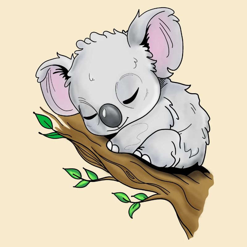 Sleeping Koala