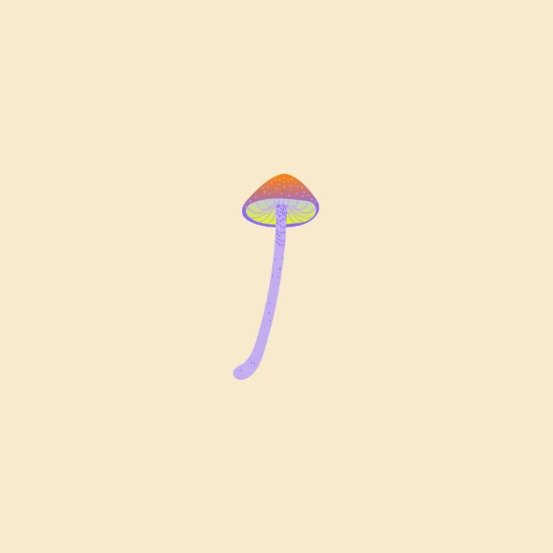 Magic mushroom