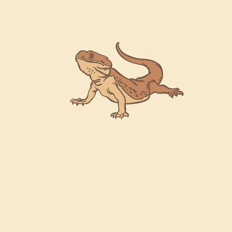 Bearded dragon