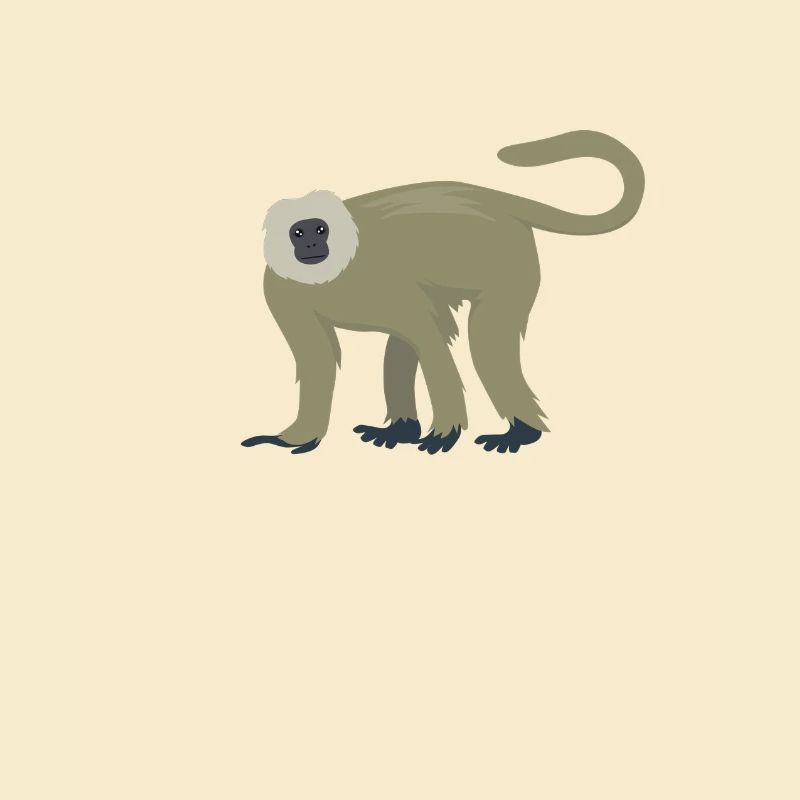 Eleganter Langur