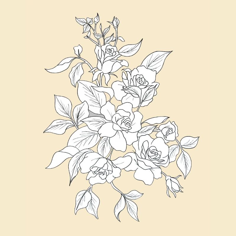 Roses