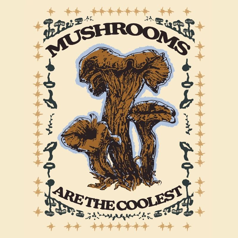 LES CHAMPIGNONS SONT LES PLUS COOL