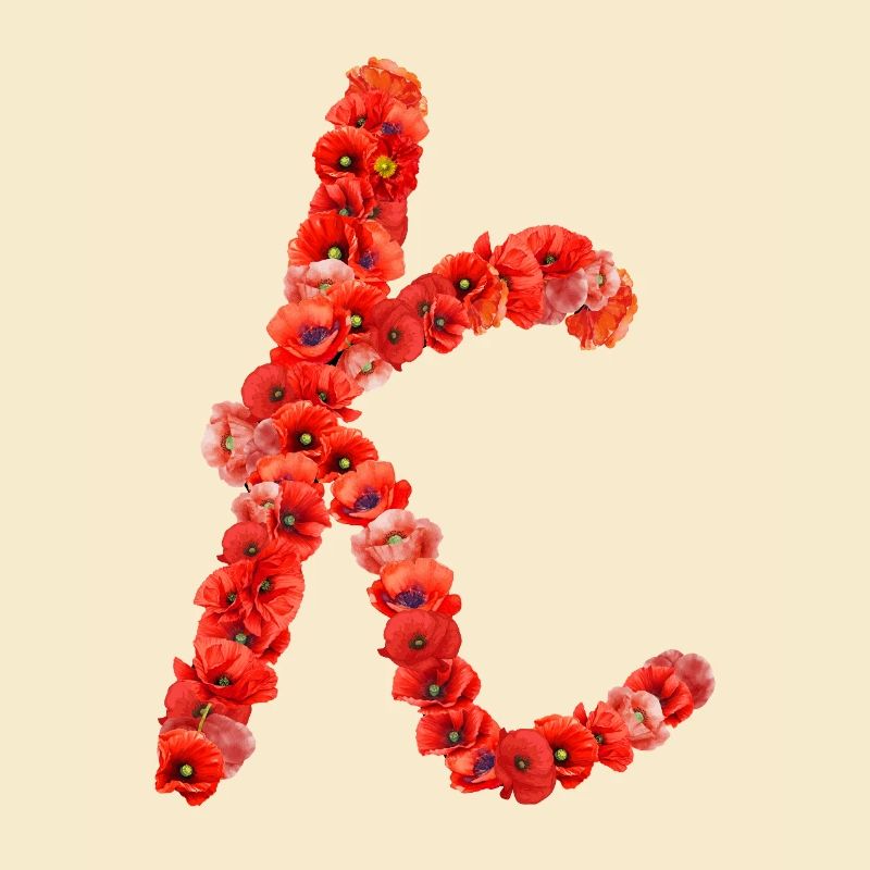 Initial K aus Mohnblumen