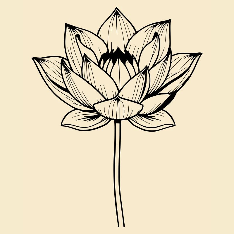Fleur de lotus Fleur de lotus Fleur noire