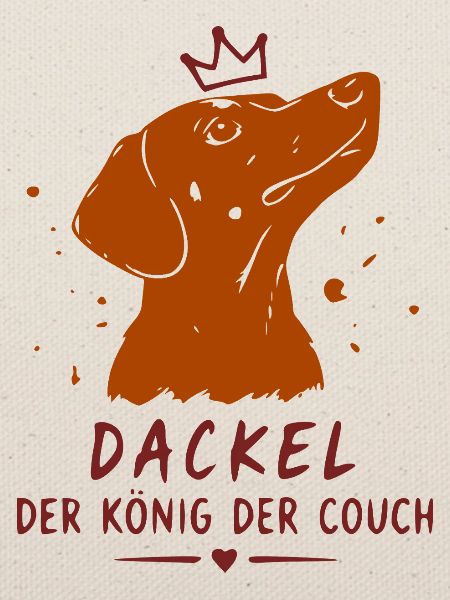 Dackel König der Couch