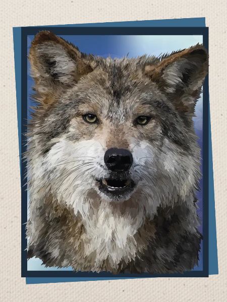 Wolf