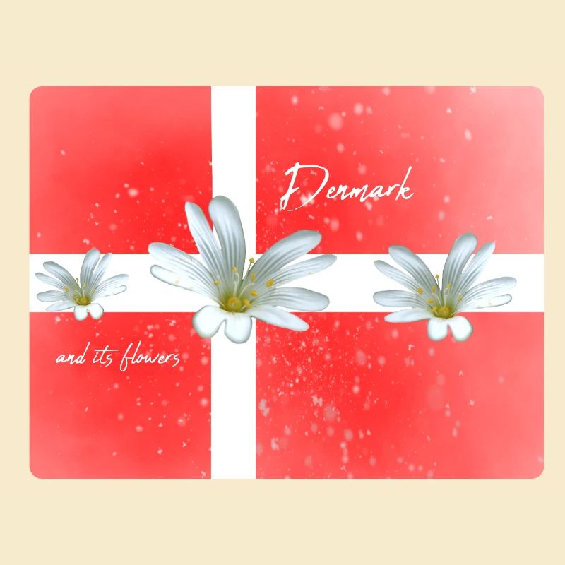 Danemark Danemark Danemark Drapeau