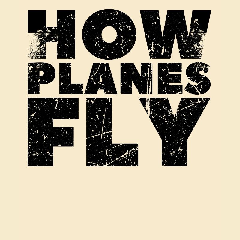 How Airplanes Fly Design for Pilots