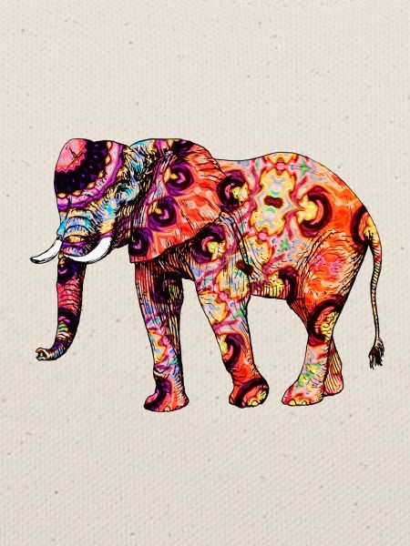 Oriental Elephant
