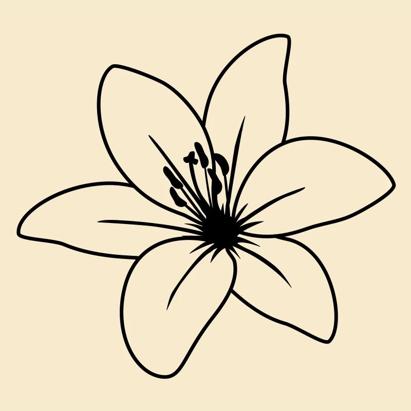 blume2_lilie_uea_1fb