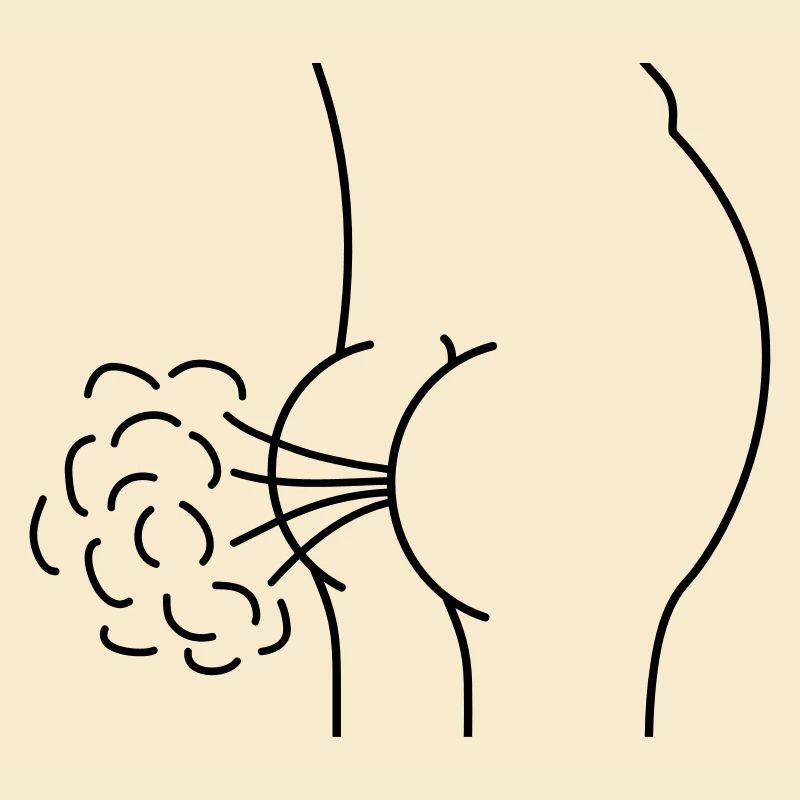 Fart