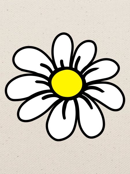 daisy_flower