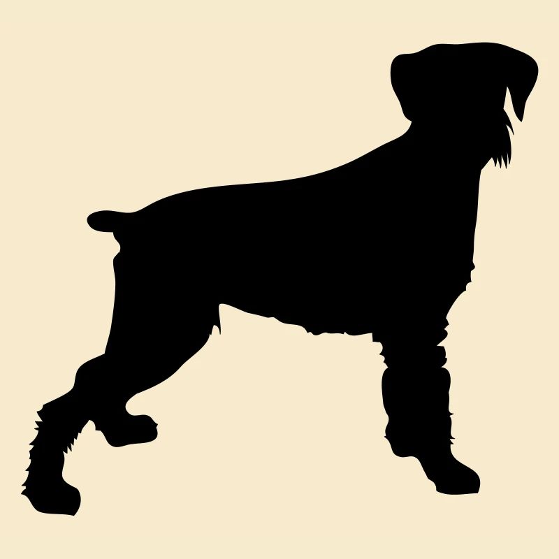 süsser hund