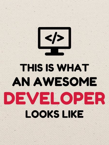 Entwickler / Informatiker / Programmierer /