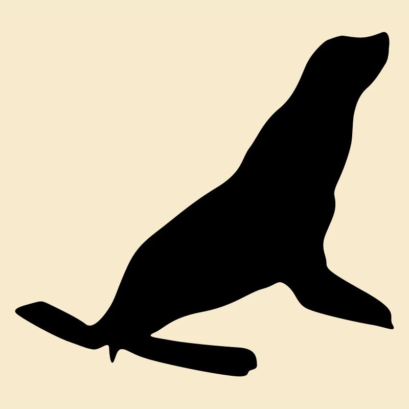 see robbe silhouette seehund