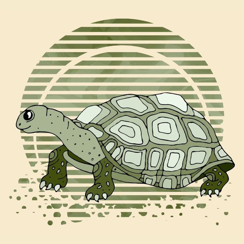 Schildkröte