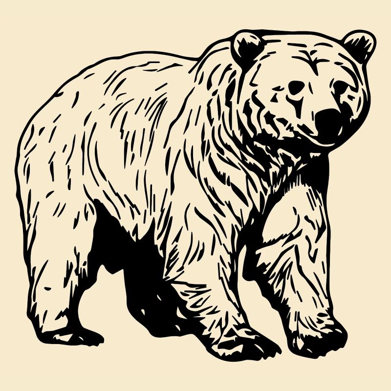 Bär